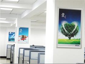 讓国产91香蕉视下载app最新版隨處可見